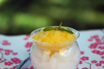 Orange Granita