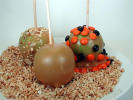 Caramel Apples